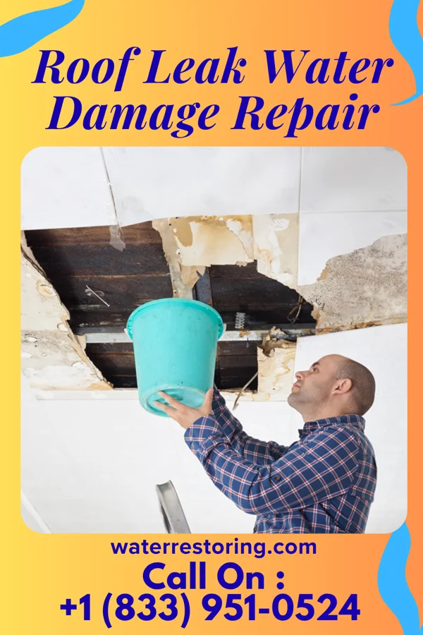 Roof Leak Water Damage Repair in Chadron, NE