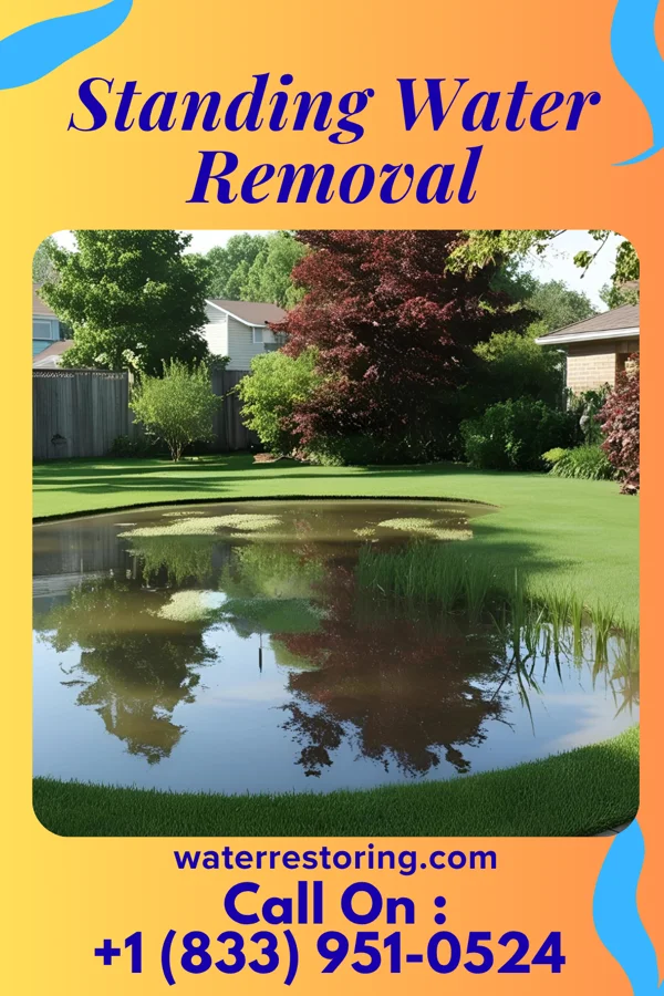 Standing Water Removal in Chadron, NE